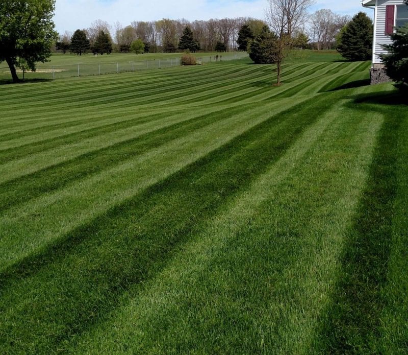 CC Lawn Ionia MI